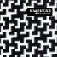 ALBUMwBest of GRAPEVINE 1997-2012x