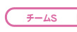 チームS