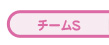 チームS