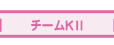 チームS