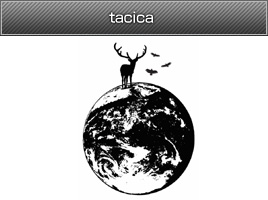 tacica