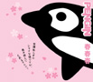 PENGIN�w�t�t�t�x