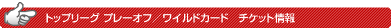 �g�b�v���[�O �v���[�I�t�^���C���h�J�[�h�@�`�P�b�g���