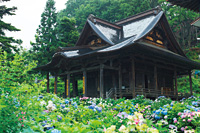 松心山 光照院光寺
