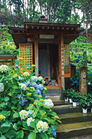 松心山 光照院光寺