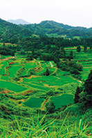 松代の棚田(星峠)