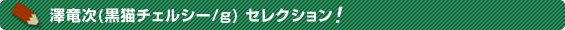 �V����(���L�`�F���V�[/g) �Z���N�V�����I