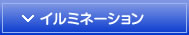 �C���~�l�[�V����