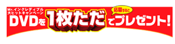 Mr.CNfBuqbgLy[@傷DVD1Ńv[gI