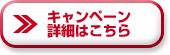 Ly[ڍׂ͂
