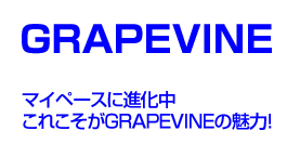 GRAPEVINE@}Cy[Xɐi@ꂱGRAPEVINÉ̖I