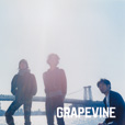 GRAPEVINEw^hiatusx