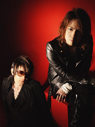 VAMPS