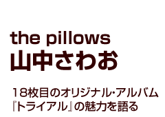 the pillowsER킨