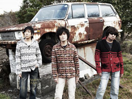the pillows