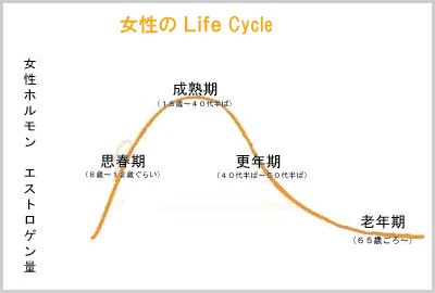  Life Cycle