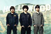 the pillows