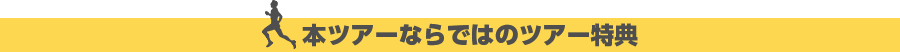 本ツアーならではのツアー特典