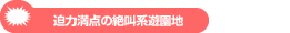迫力満点の絶叫系遊園地