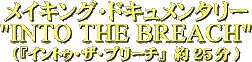 ���C�L���O�E�h�L�������^���[