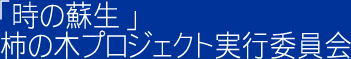 ̑h`̖؃vWFNgsψ