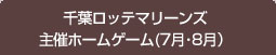 横浜F･マリノス　マリーンルージュ花火クルージング

