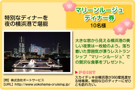 �}�������[�W���f�B�i�[���@10���l